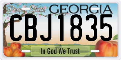 GA license plate CBJ1835
