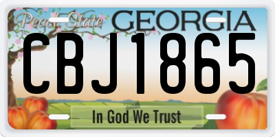 GA license plate CBJ1865