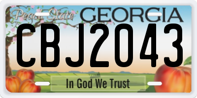 GA license plate CBJ2043
