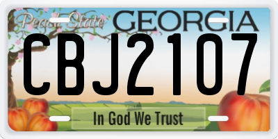 GA license plate CBJ2107
