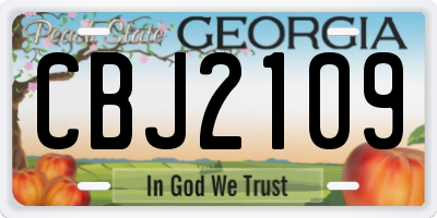 GA license plate CBJ2109