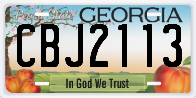 GA license plate CBJ2113