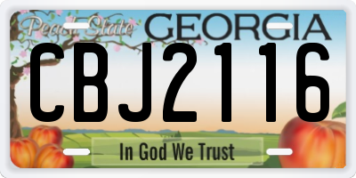 GA license plate CBJ2116