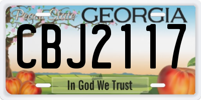 GA license plate CBJ2117