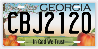 GA license plate CBJ2120