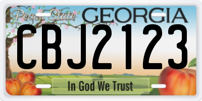 GA license plate CBJ2123