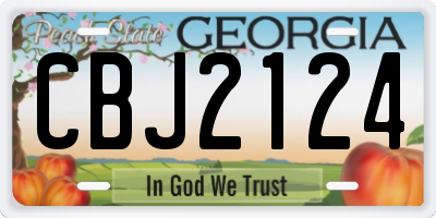 GA license plate CBJ2124