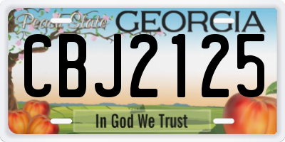 GA license plate CBJ2125