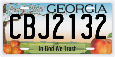 GA license plate CBJ2132