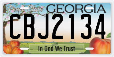 GA license plate CBJ2134