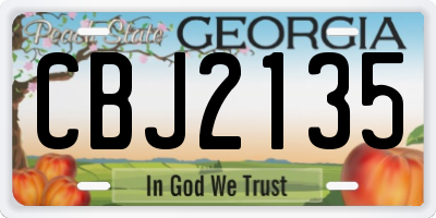 GA license plate CBJ2135