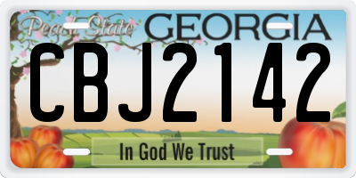 GA license plate CBJ2142