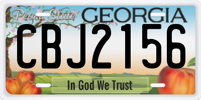 GA license plate CBJ2156