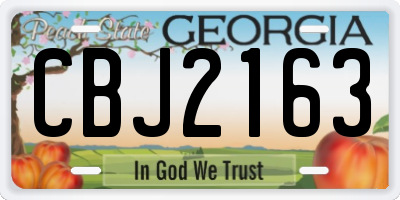 GA license plate CBJ2163