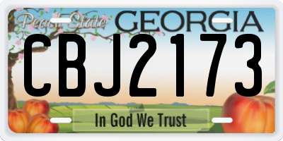 GA license plate CBJ2173