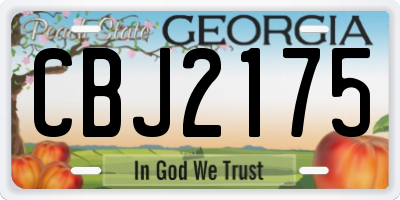 GA license plate CBJ2175