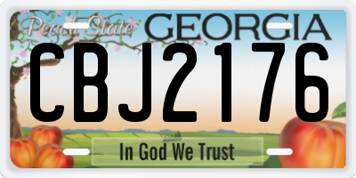 GA license plate CBJ2176