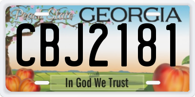 GA license plate CBJ2181