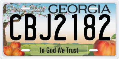 GA license plate CBJ2182
