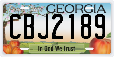 GA license plate CBJ2189