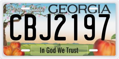 GA license plate CBJ2197