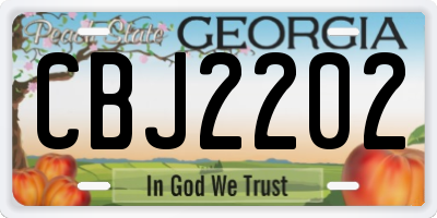 GA license plate CBJ2202