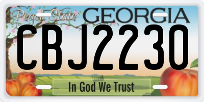 GA license plate CBJ2230