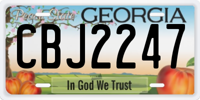 GA license plate CBJ2247
