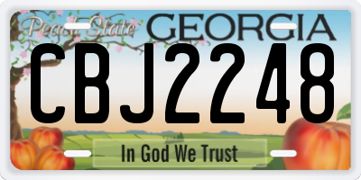 GA license plate CBJ2248
