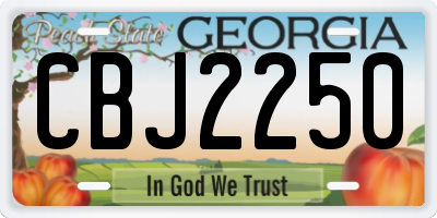 GA license plate CBJ2250
