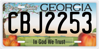 GA license plate CBJ2253