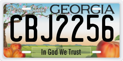 GA license plate CBJ2256