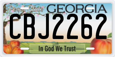 GA license plate CBJ2262