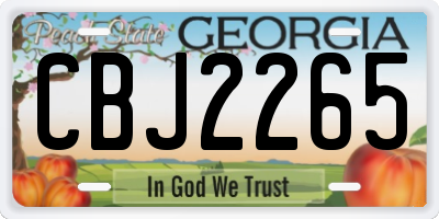 GA license plate CBJ2265
