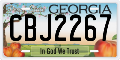 GA license plate CBJ2267