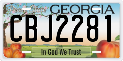 GA license plate CBJ2281