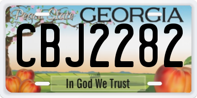 GA license plate CBJ2282