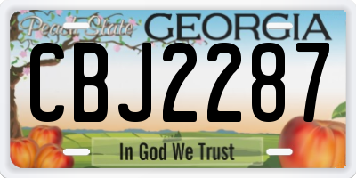 GA license plate CBJ2287