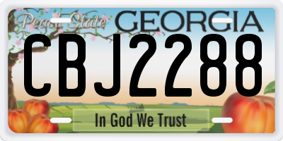 GA license plate CBJ2288