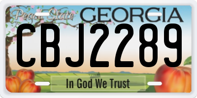 GA license plate CBJ2289