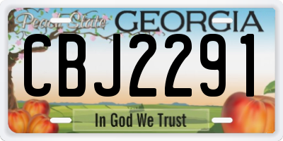 GA license plate CBJ2291