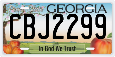 GA license plate CBJ2299