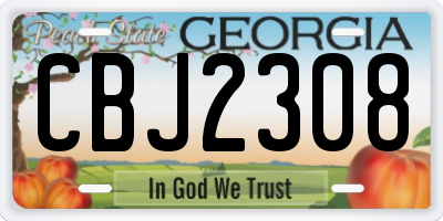 GA license plate CBJ2308