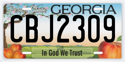 GA license plate CBJ2309