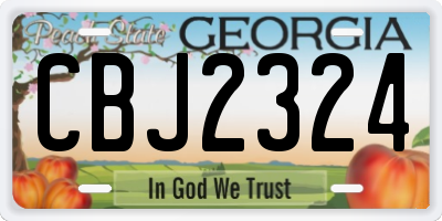 GA license plate CBJ2324
