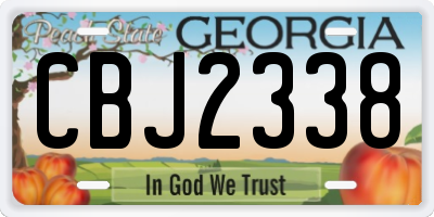 GA license plate CBJ2338