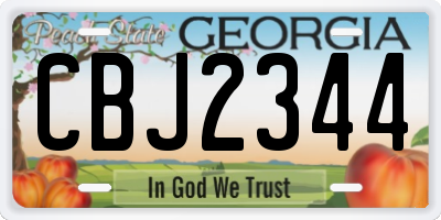 GA license plate CBJ2344