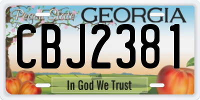 GA license plate CBJ2381