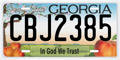 GA license plate CBJ2385