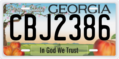 GA license plate CBJ2386